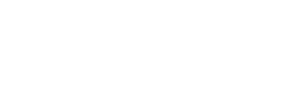 Dodo Pizza — KUDOS Agency client